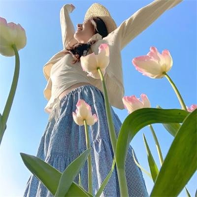 菲比梦游仙境